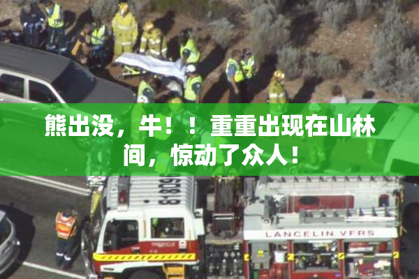 熊出没，牛！！重重出现在山林间，惊动了众人！