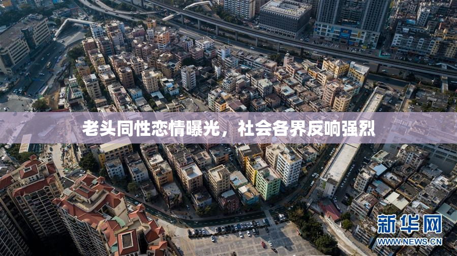 老头同性恋情曝光，社会各界反响强烈