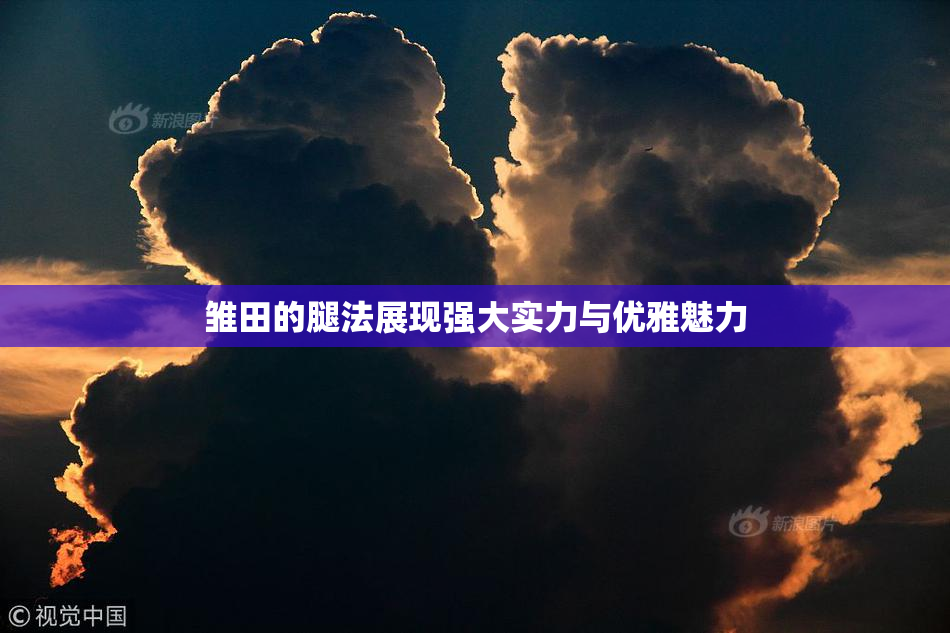 雏田的腿法展现强大实力与优雅魅力