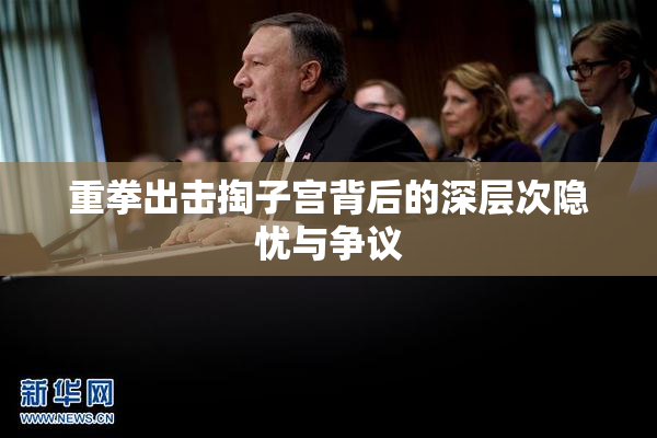 重拳出击掏子宫背后的深层次隐忧与争议