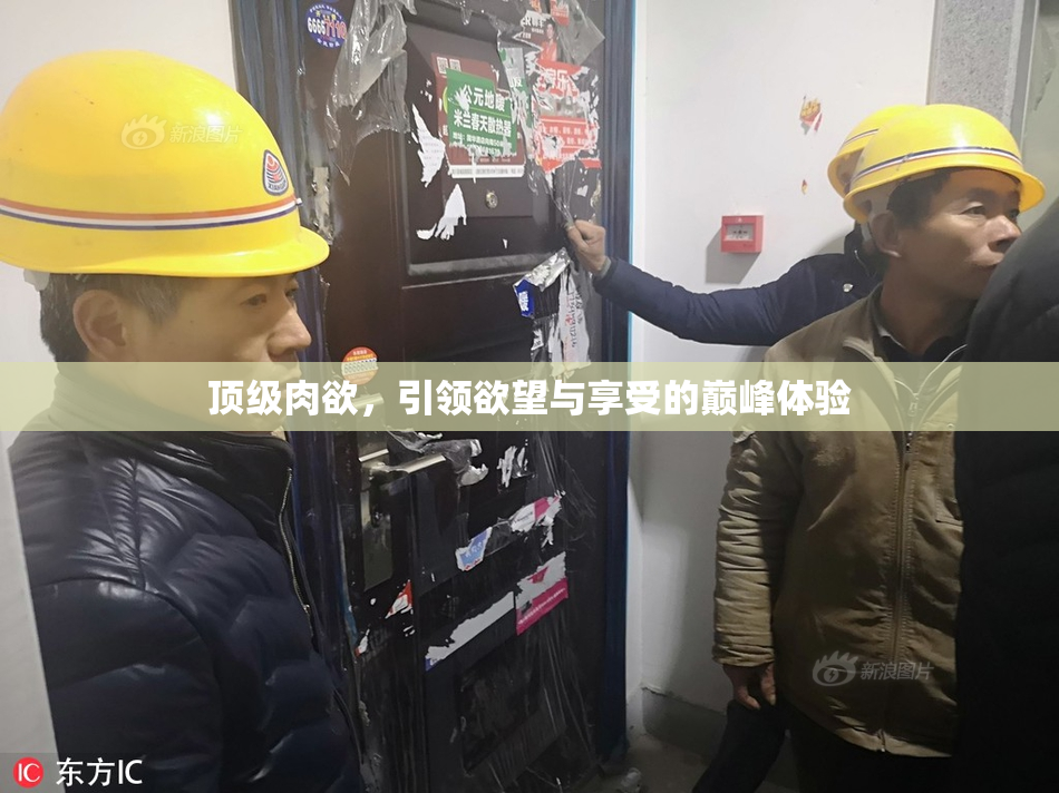 顶级肉欲，引领欲望与享受的巅峰体验