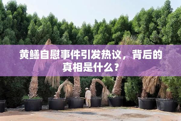 黄鳝自慰事件引发热议，背后的真相是什么？