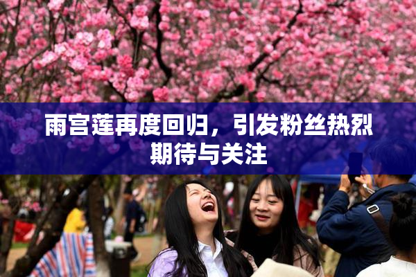 雨宫莲再度回归，引发粉丝热烈期待与关注