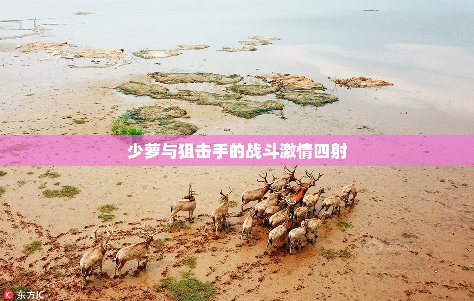 少萝与狙击手的战斗激情四射