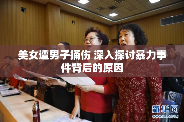 美女遭男子捅伤 深入探讨暴力事件背后的原因