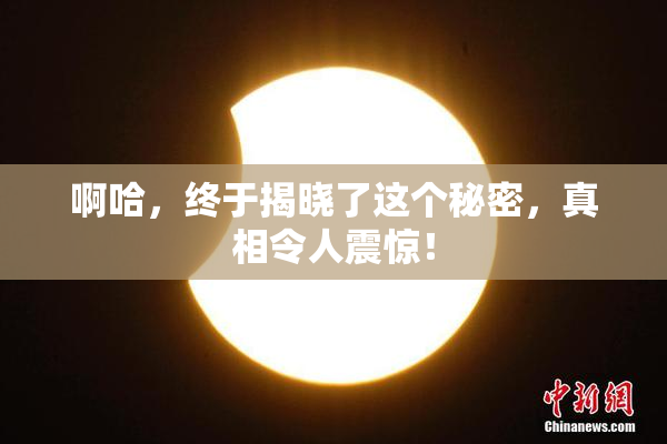 啊哈，终于揭晓了这个秘密，真相令人震惊！