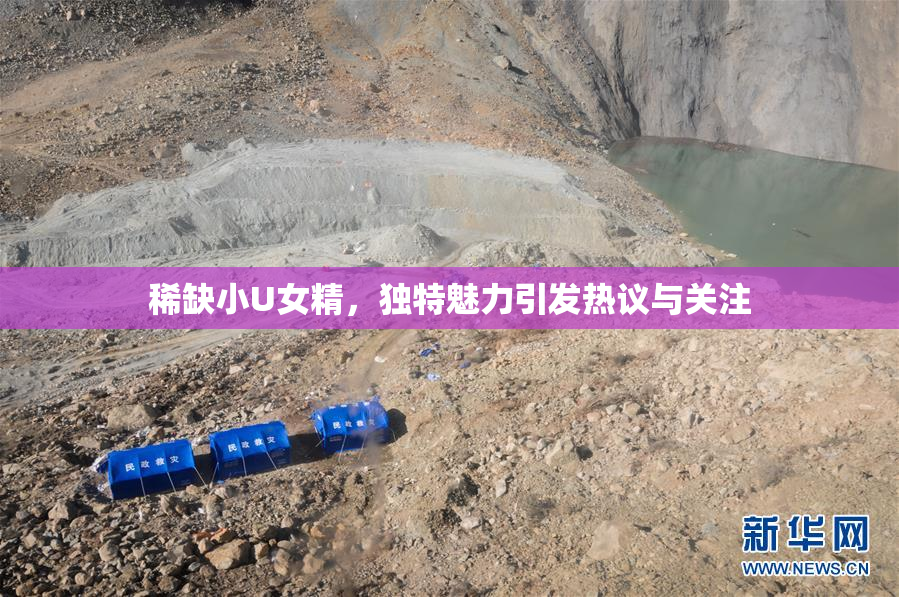 稀缺小U女精，独特魅力引发热议与关注