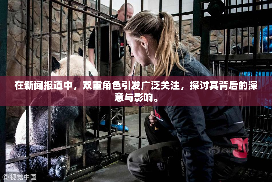 在新闻报道中，双重角色引发广泛关注，探讨其背后的深意与影响。