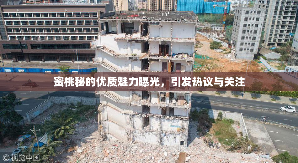 蜜桃秘的优质魅力曝光，引发热议与关注
