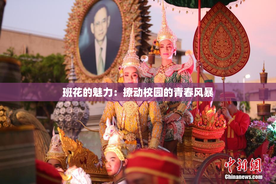 班花的魅力：撩动校园的青春风暴