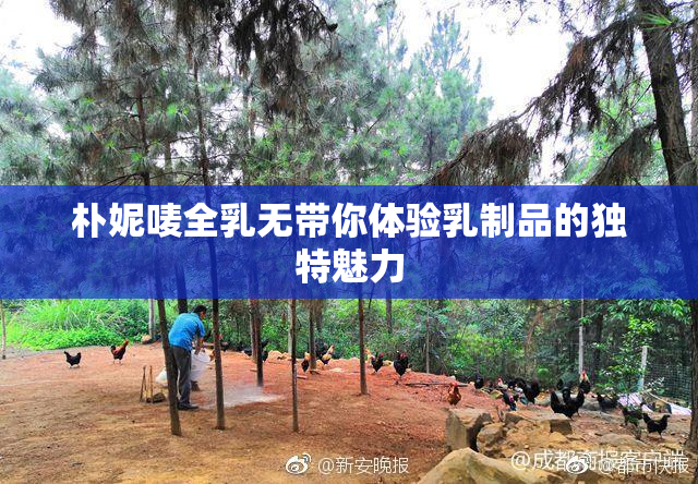 朴妮唛全乳无带你体验乳制品的独特魅力