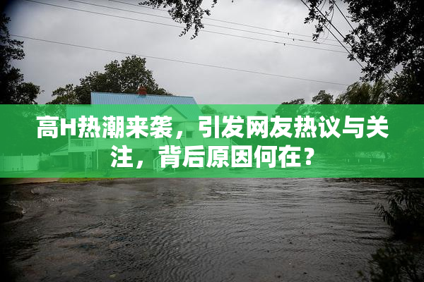 高H热潮来袭，引发网友热议与关注，背后原因何在？