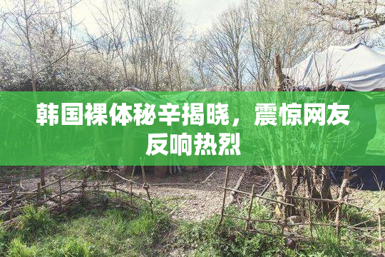 韩国裸体秘辛揭晓，震惊网友反响热烈