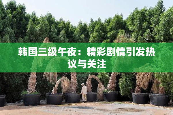 韩国三级午夜：精彩剧情引发热议与关注