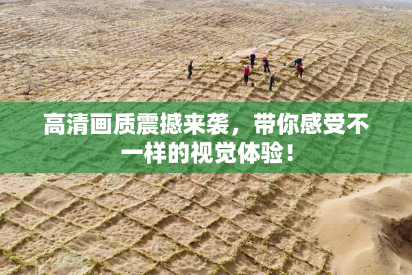 高清画质震撼来袭，带你感受不一样的视觉体验！