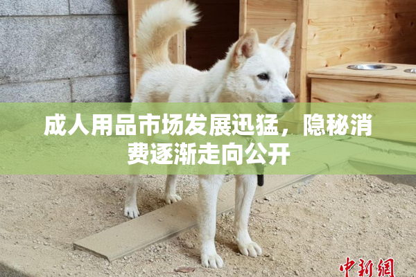 成人用品市场发展迅猛，隐秘消费逐渐走向公开