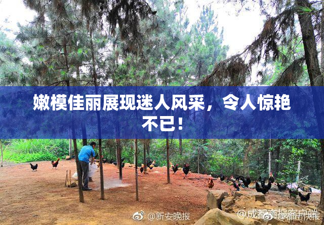嫩模佳丽展现迷人风采，令人惊艳不已！