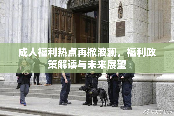 成人福利热点再掀波澜，福利政策解读与未来展望