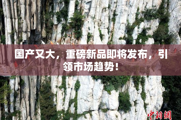 国产又大，重磅新品即将发布，引领市场趋势！