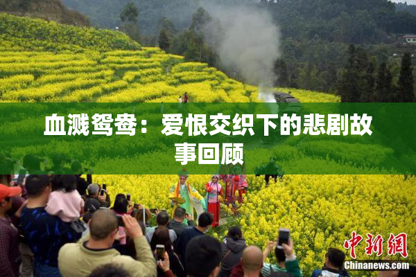 血溅鸳鸯：爱恨交织下的悲剧故事回顾