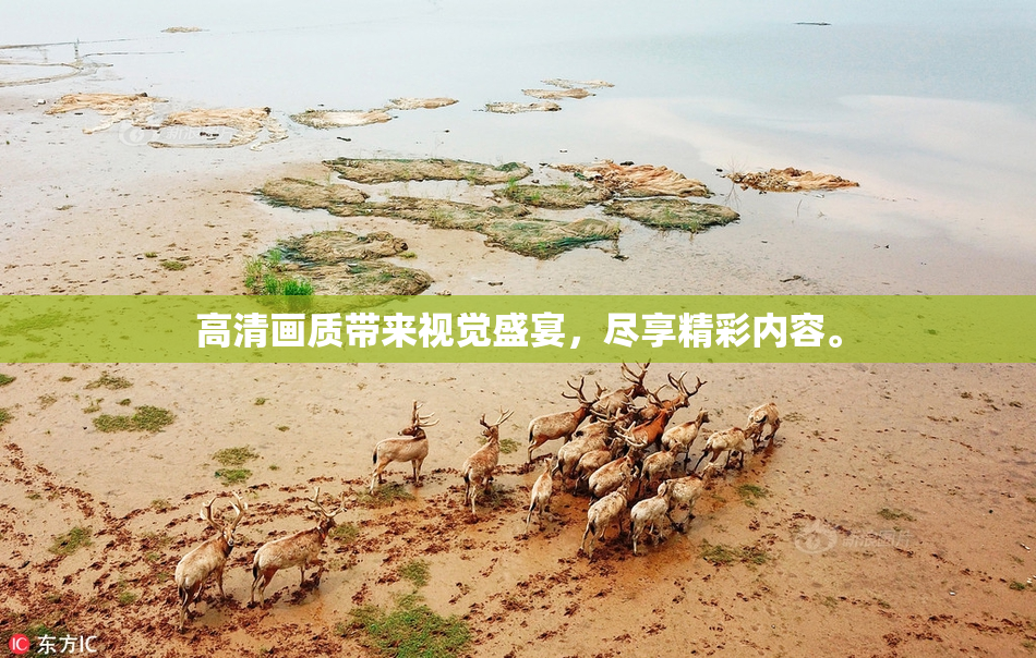 高清画质带来视觉盛宴，尽享精彩内容。