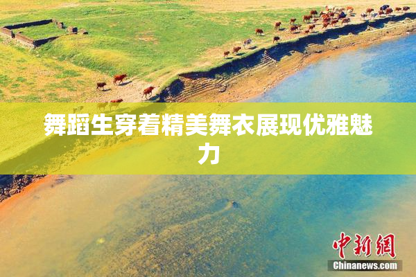 舞蹈生穿着精美舞衣展现优雅魅力