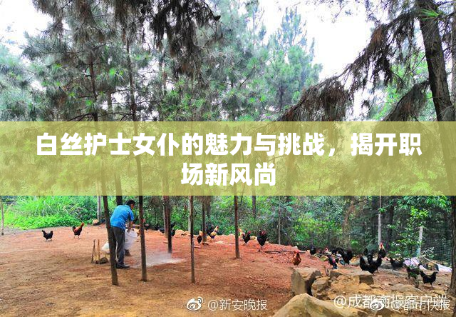 白丝护士女仆的魅力与挑战，揭开职场新风尚