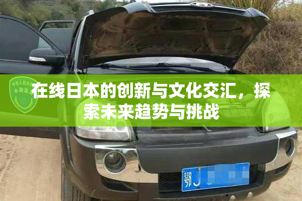 在线日本的创新与文化交汇，探索未来趋势与挑战