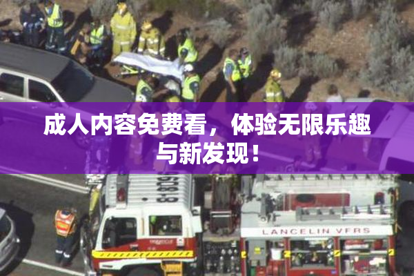 成人内容免费看，体验无限乐趣与新发现！