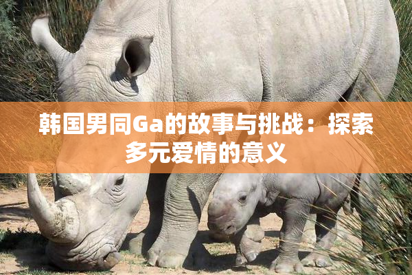 韩国男同Ga的故事与挑战：探索多元爱情的意义