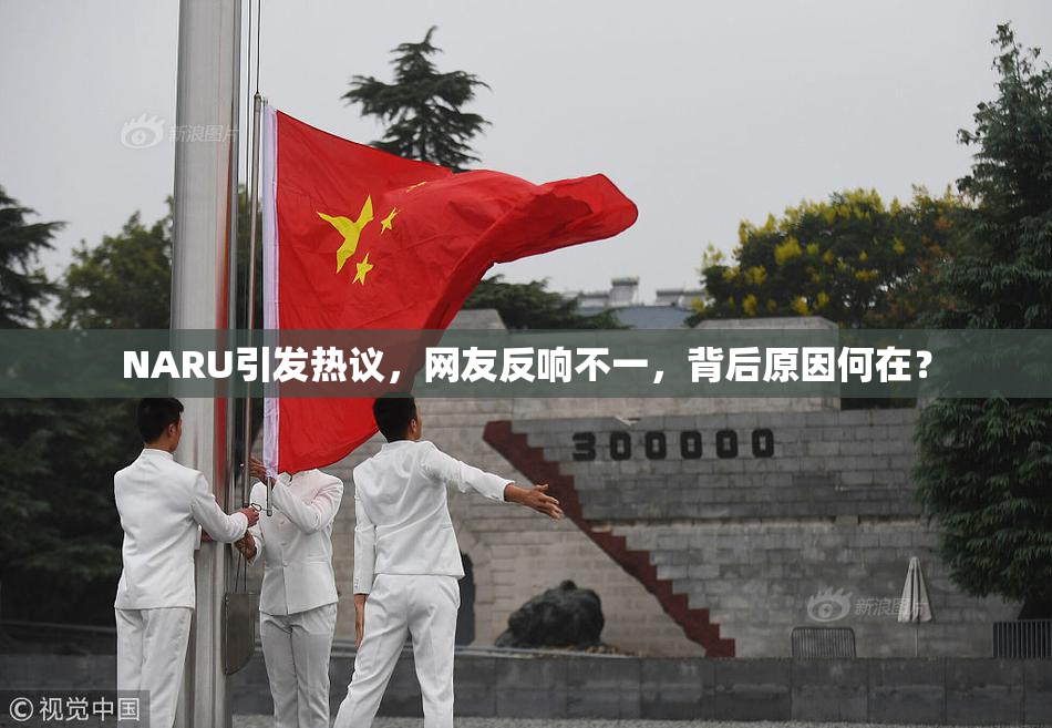 NARU引发热议，网友反响不一，背后原因何在？