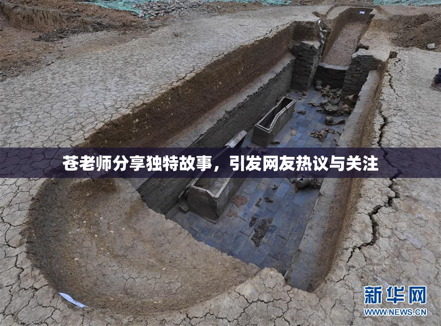 苍老师分享独特故事，引发网友热议与关注