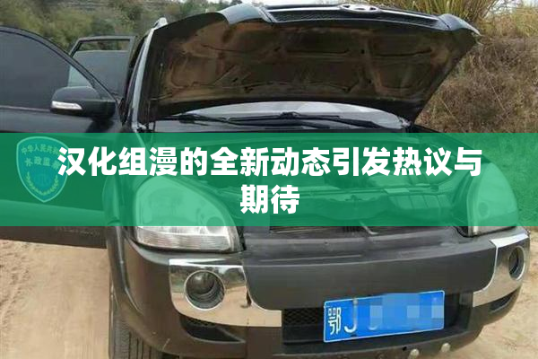 汉化组漫的全新动态引发热议与期待