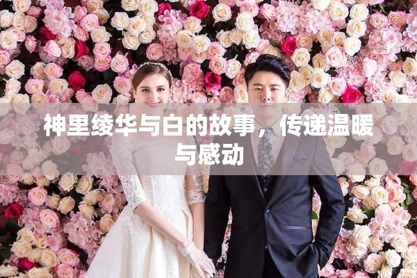 神里绫华与白的故事，传递温暖与感动