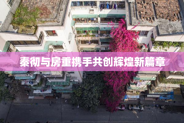 秦彻与房重携手共创辉煌新篇章