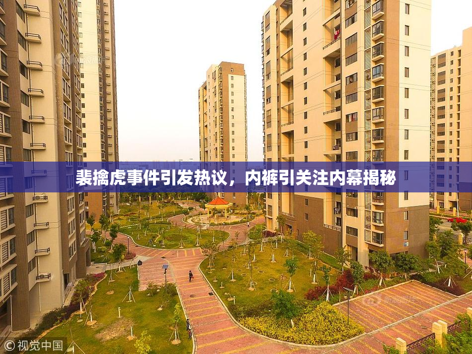 裴擒虎事件引发热议，内裤引关注内幕揭秘