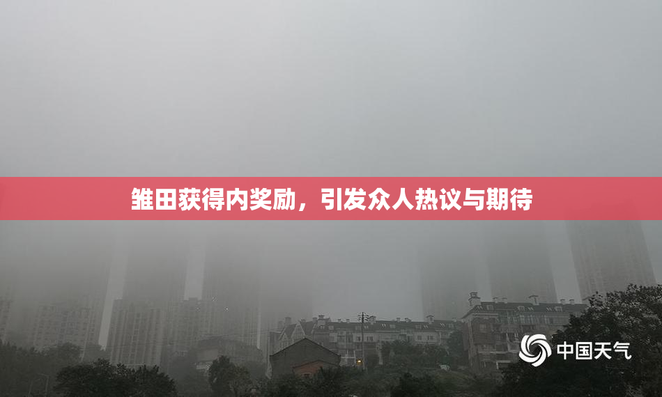 雏田获得内奖励，引发众人热议与期待