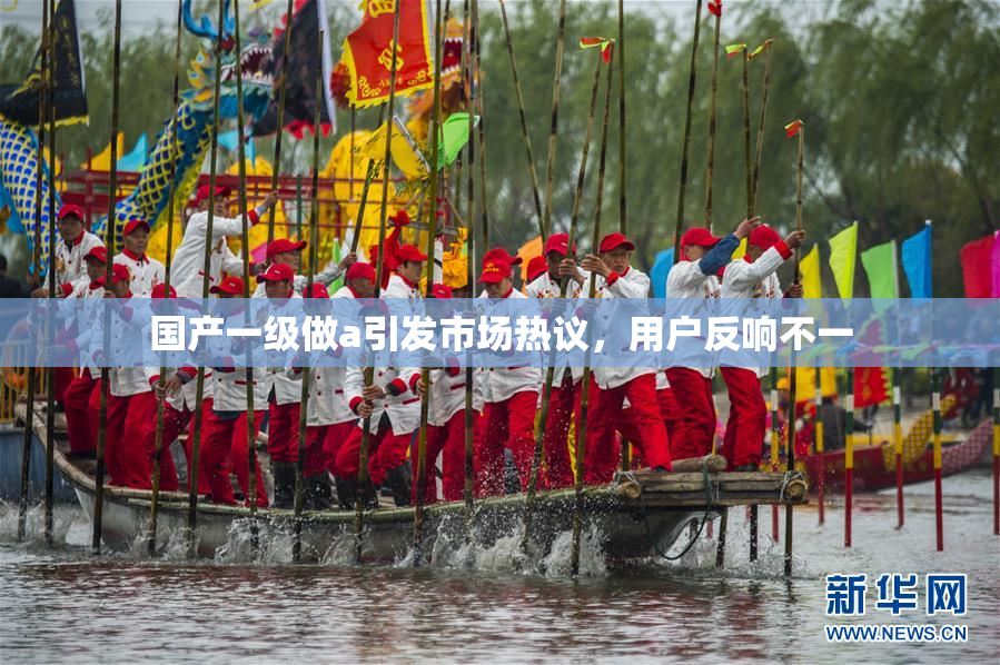 国产一级做a引发市场热议，用户反响不一