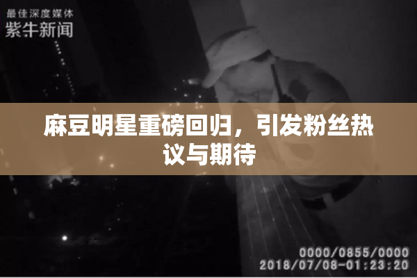 麻豆明星重磅回归，引发粉丝热议与期待