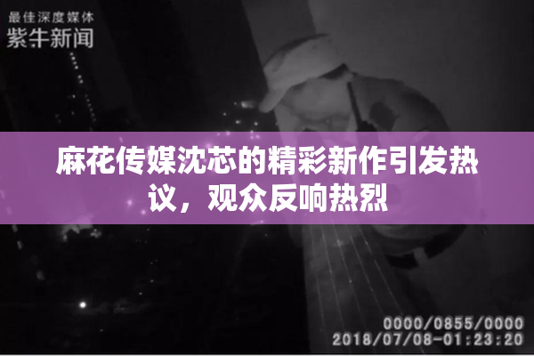 麻花传媒沈芯的精彩新作引发热议，观众反响热烈