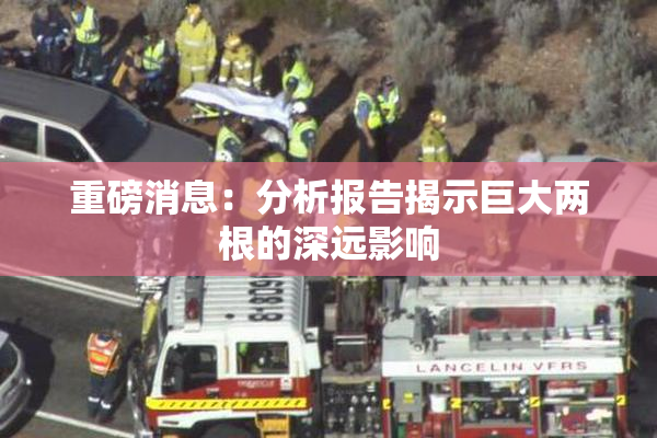 重磅消息：分析报告揭示巨大两根的深远影响