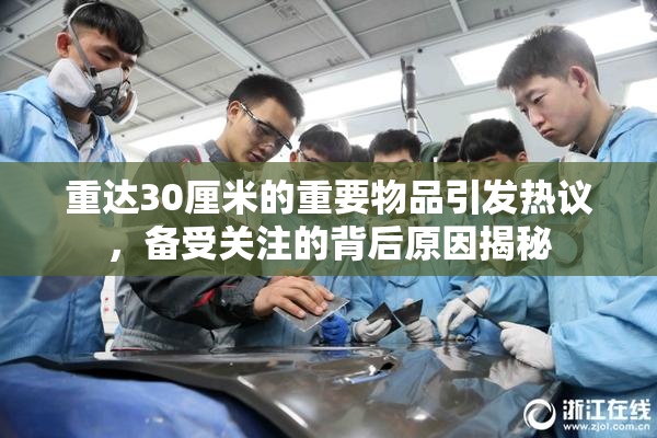 重达30厘米的重要物品引发热议，备受关注的背后原因揭秘