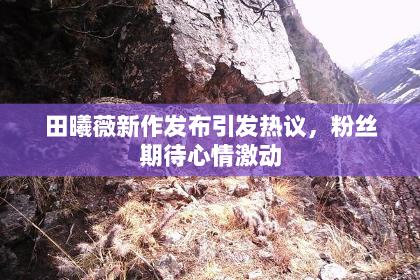 田曦薇新作发布引发热议，粉丝期待心情激动