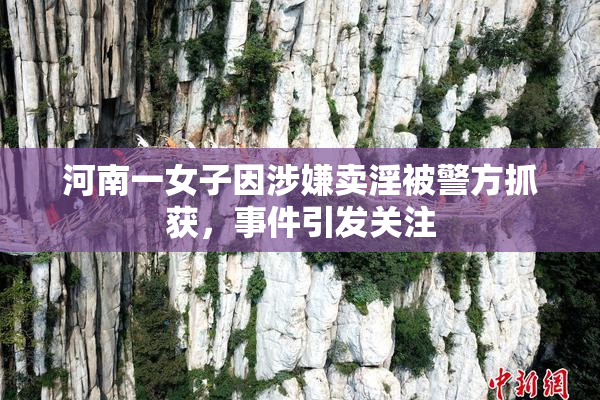 河南一女子因涉嫌卖淫被警方抓获，事件引发关注