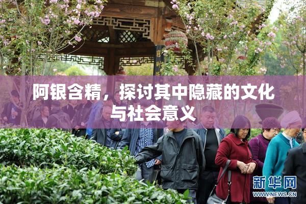 阿银含精，探讨其中隐藏的文化与社会意义