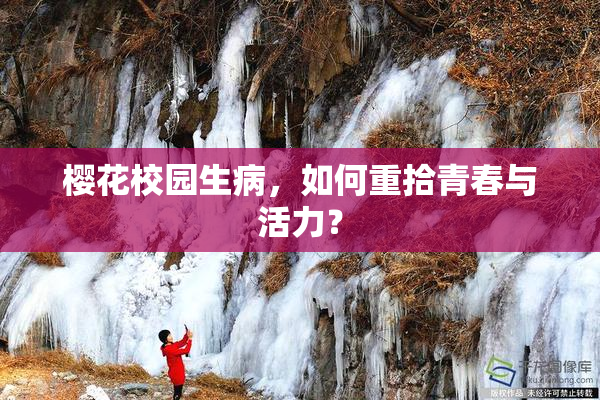 樱花校园生病，如何重拾青春与活力？