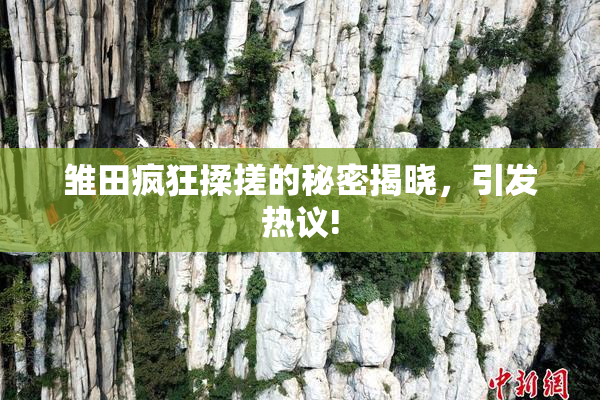雏田疯狂揉搓的秘密揭晓，引发热议!