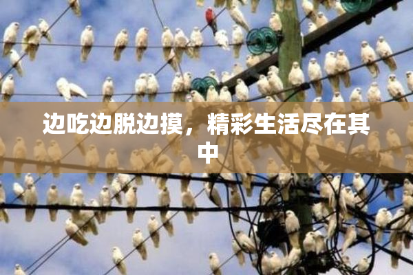 边吃边脱边摸，精彩生活尽在其中