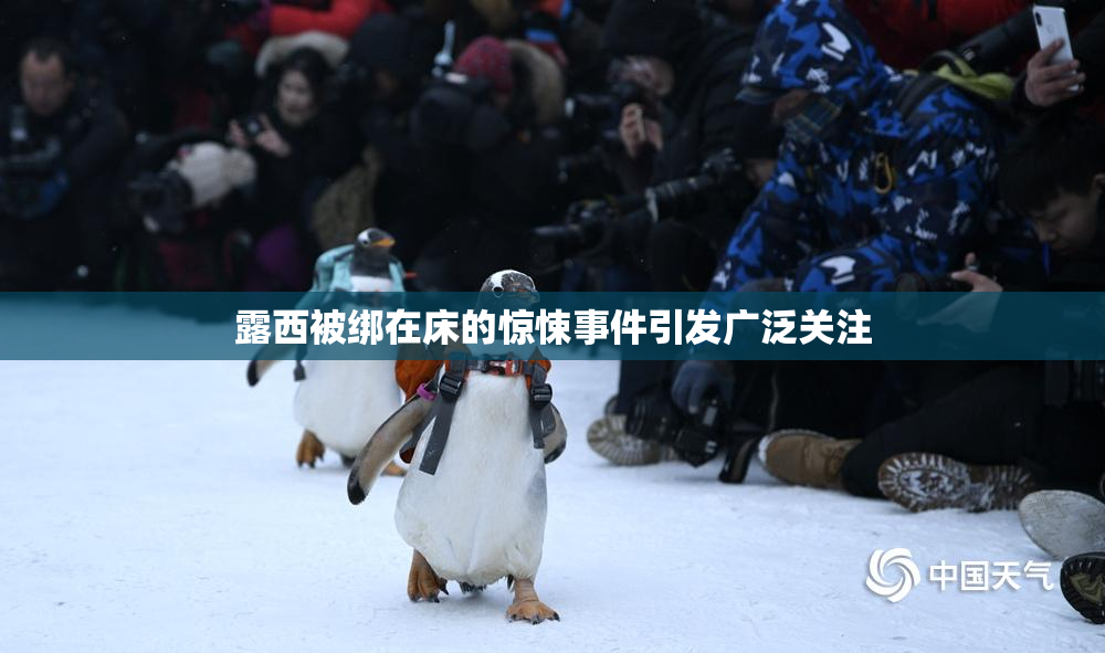 露西被绑在床的惊悚事件引发广泛关注